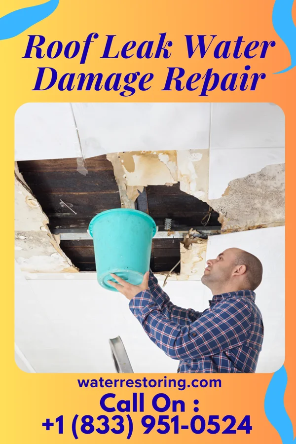 Roof Leak Water Damage Repair in Mount Charleston, NV